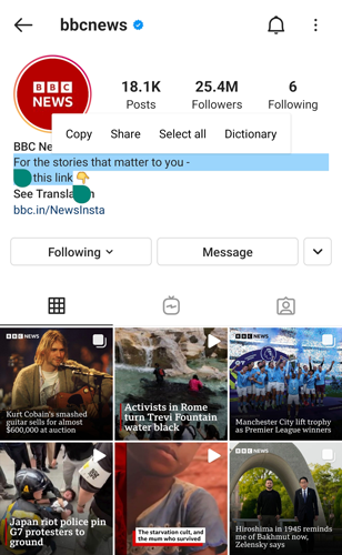 Instagram Bio instaplus kopieren