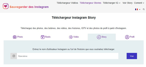 Télécharger l'histoire Instagram en ligne