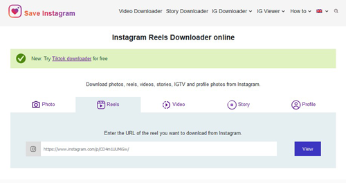 instagram reels downloader online