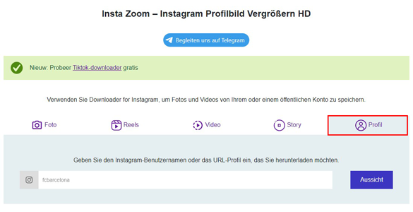 Downloader für Instagram-Profilbilder