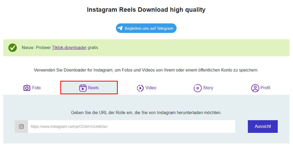 Instagram-Reels-Downloader online
