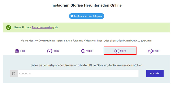 Laden Sie die Instagram-Story online herunter
