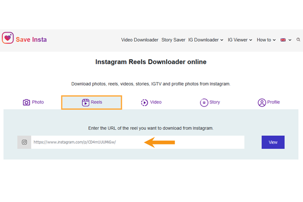 instagram reels downloader online