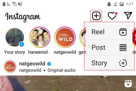 Post reels, Instagram stories after Insta Lite update
