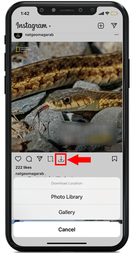 Download high quality photos and videos instagram plus plus